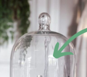 Beautiful things to put under cloches this season (easy way to decorate!)