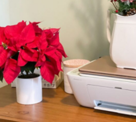 Don't toss your poinsettias—here's what you should do instead