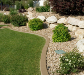 If you have an outdoor space that gets full sun, you need this plant