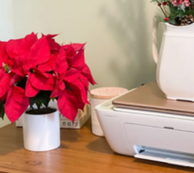 What to do after the holidays to keep poinsettias alive and gorgeous