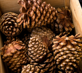 25 gorgeous ways to use pine cones right now