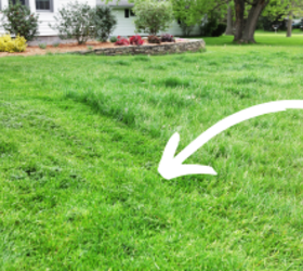 Add instant charm to your outdoor space this spring by pressing these into your lawn