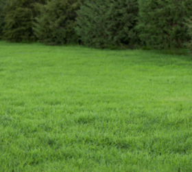 The stunning reason you need a mirror in your backyard this season (plus 11 more outdoor essentials)