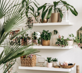 If you have this common houseplant near a wall, it's time to move it