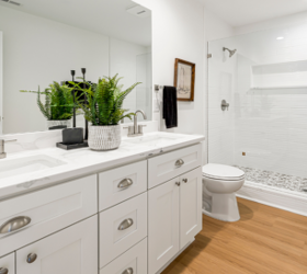 Why you should NEVER put this plant in a bathroom